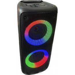 колонка+Bluetooth+USB+SD+радио+аккумулятор+микрофон+эквалайзер+светомузыка DG-4202
