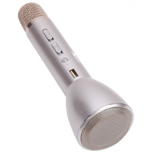 колонка микрофон+Bluetooth+USB+радио+аккумулятор WSTER WS-2811