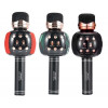 колонка микрофон+Bluetooth+USB+радио+аккумулятор WSTER WS-2911