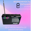 радиоприемник HAIRUN+USB+SD+фонарик+аккумулятор BL-5C RX-323