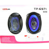 автоколонка 16см*23см/1000w TP-6971