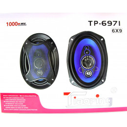 автоколонка 16см*23см/1000w TP-6971
