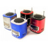 радиоприемник-колонка WSTER USB аккумулятор WS-259
