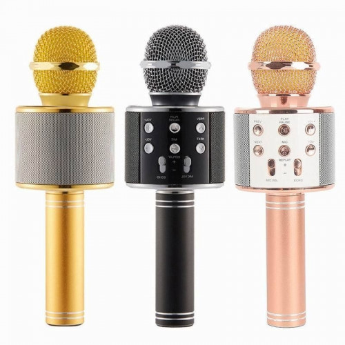 колонка микрофон Bluetooth USB радио WSTER WS-858